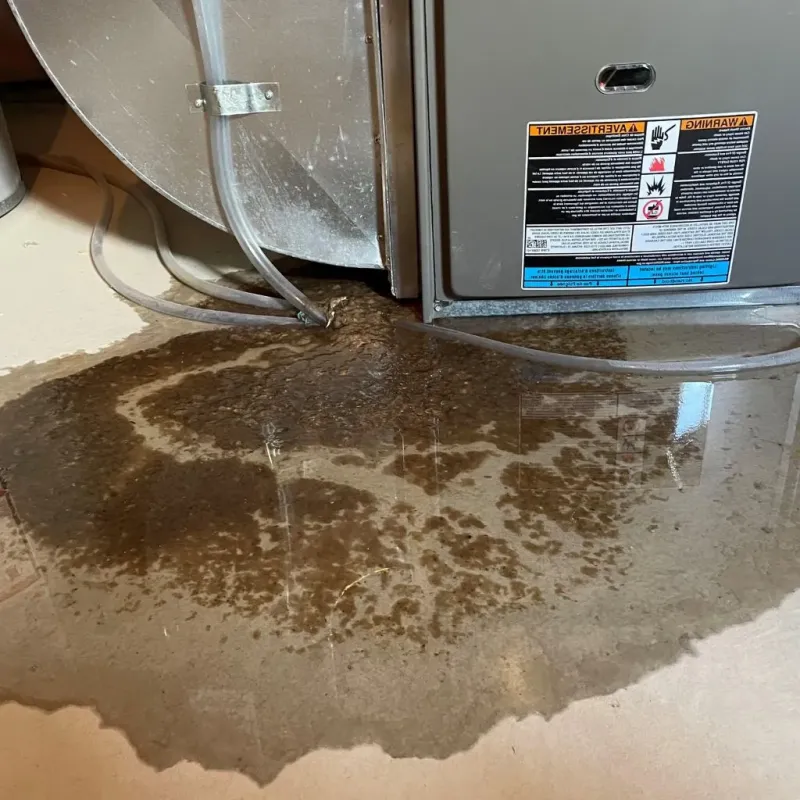 Pipe Burst and Leak Restoration in Campo Rico, PR